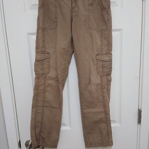 Ascend Tan Hiking Pants